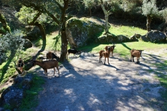 2023.09.28.-29.-Barragem-do-Alto-Rabagao-Vila-da-Ponte-Ponte-da-Misarela-12-of-18