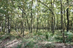 2023.27.-28.-Parque-Natural-de-Montesinho-1-of-12