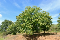 2023.27.-28.-Parque-Natural-de-Montesinho-11-of-12