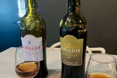 2023.09.30.-Favaios-Pinaho-Vale-do-Coa-4-of-16