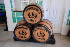 2023.09.30.-Favaios-Pinaho-Vale-do-Coa-9-of-16