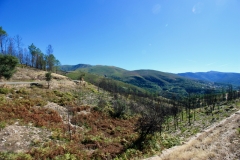 2023.09.29.-Fisgas-do-Ermelo-1-of-11