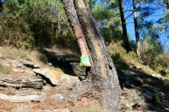 2023.09.29.-Fisgas-do-Ermelo-6-of-11