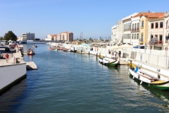 2023.10.3.-Aveiro-2-of-10