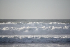 2023.10.4.-Batalha-2-of-12