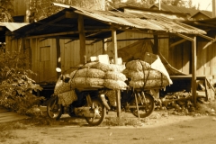 IMG_0631 - Version 2