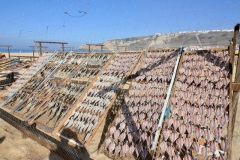 2023.10.5.-Nazare-3-of-6