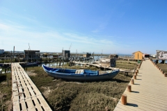 2023.10.09.-Troia-Halbinsel-6-of-18