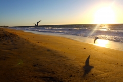 Black Point Beach - Bunbury