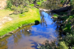 Black Wood River - Nannup