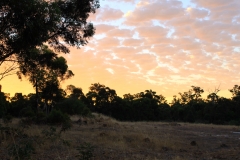 Sunset - Nannup