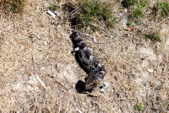 IMG_5484 - Version 2