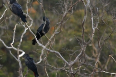 IMG_6281 - Version 2