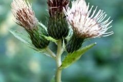 2018.08.19.-20. Dolenjske Toplice - 13