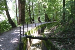 2018.08.17. Idrja - 12