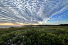 IMG_6793