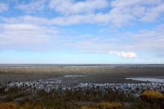 The Wadden Sea - Wattenmeer
