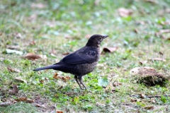 2018.08.22.-24. Prebold : Zalec - 06