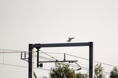 2018.08.23. Ptuj & Umgebung - 34