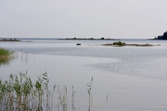 IMG_0186
